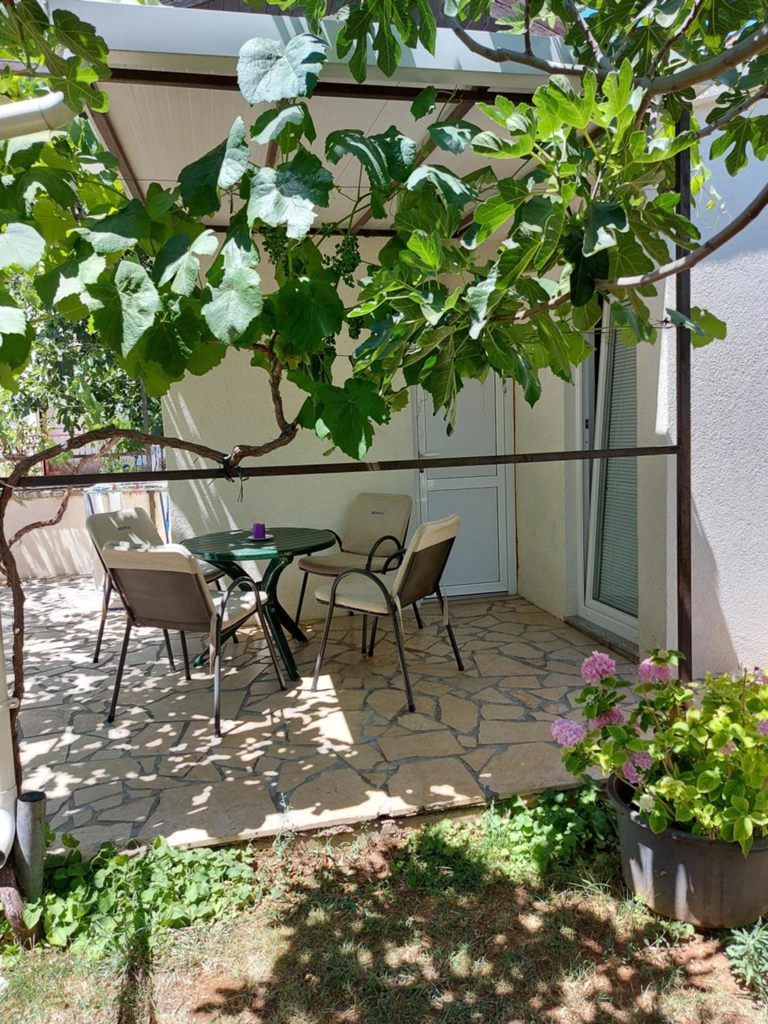 Apartments Jonjic Vodice Dış mekan fotoğraf